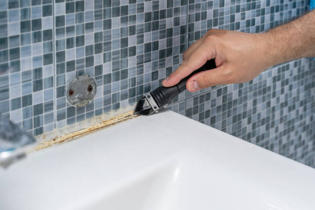 Best Health and Safety Mold Remediation in Sterling, IL